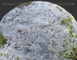 تکسچر صخره خز گرفته