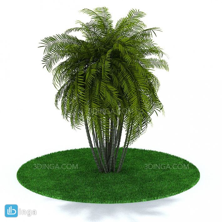 درخت سرسبز بهاری