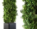 گیاه در گلدان فضای باز