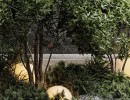 باغچه گیاهان