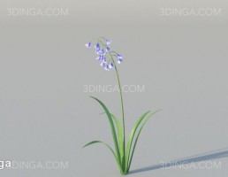 بوته گل اروپایی و آمریکای شمالی