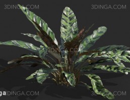مدل گل و گیاه طبیعی