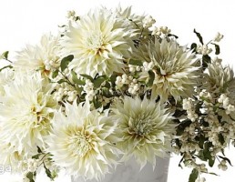 دسته گل داودی سفید در گلدان