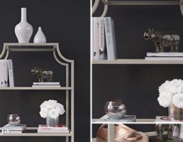 قفسه کتاب + وسایل تزیینی