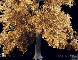 درخت بلوط پاییزی