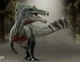 دایناسور Spinosaurus aegyptiacus