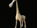 زرافه اسباب بازی