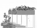 گیاهان طبیعی آپارتمانی