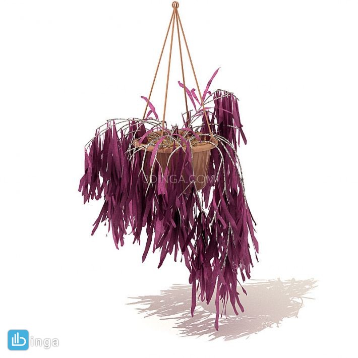 گل باغی بهاری