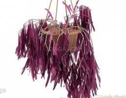 گل باغی بهاری