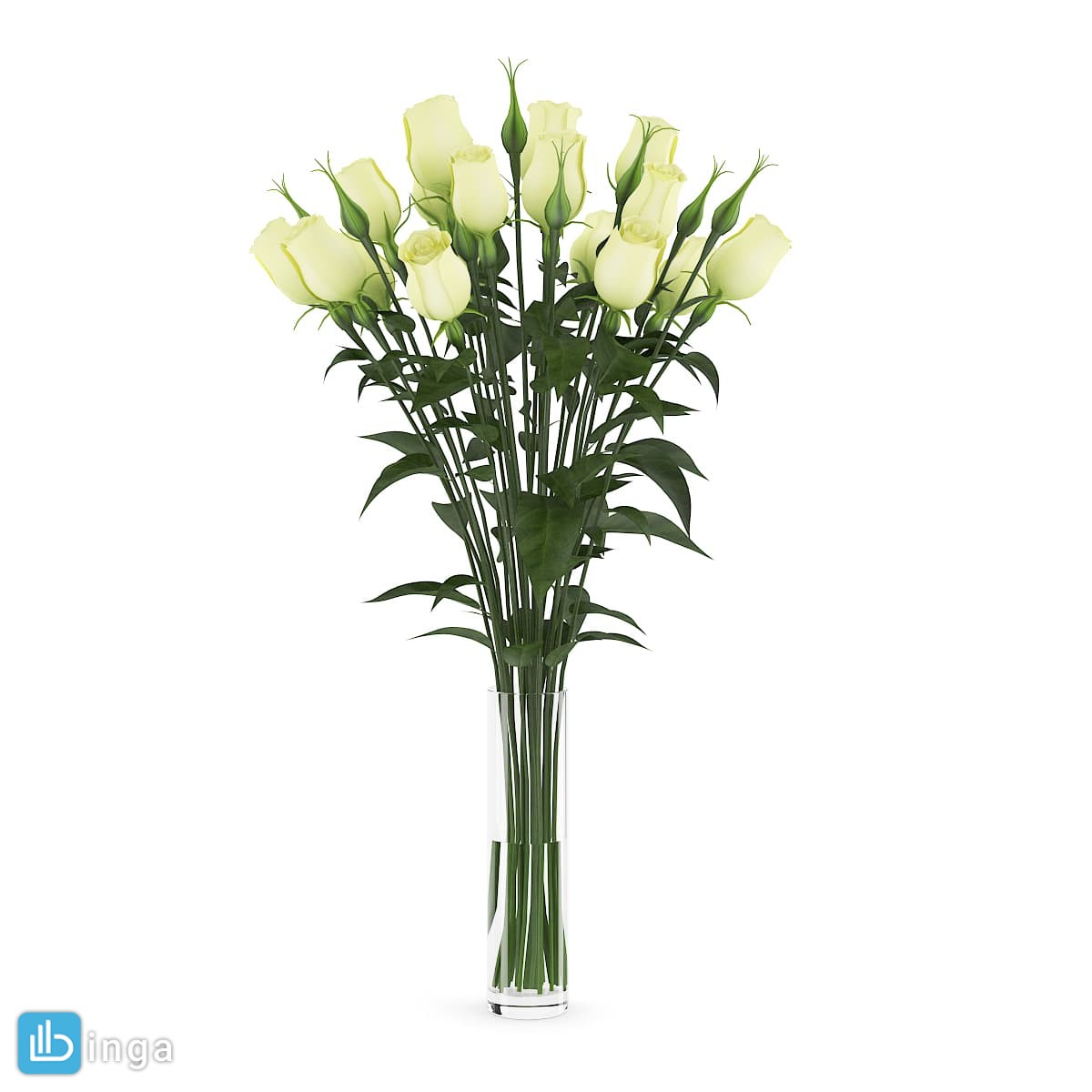 گلدان +گل رز