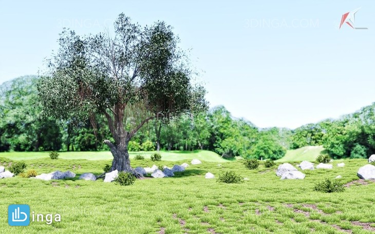درخت