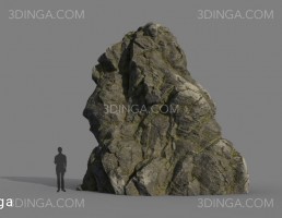 تخته سنگ کویری و جنگلی