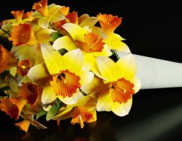 دسته گل یاس