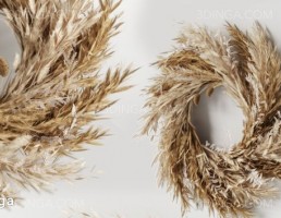 حلقه آویز گل پامپا