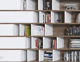 قفسه چوبی کتاب