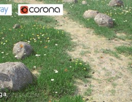 مدل سه بعدی علف + سنگ