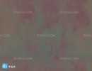 تکسچر فلز گریم