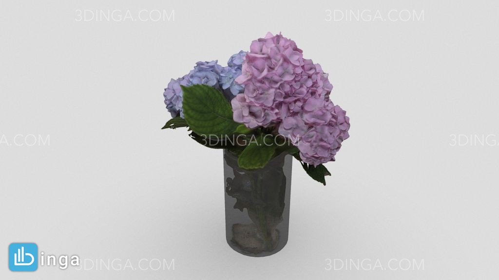 گل ادریسی در گلدان شیشه ای