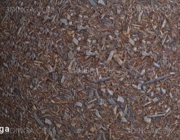 تکسچر PBR دنباله جنگل
