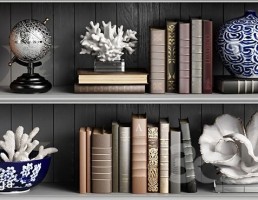 قفسه کتاب + وسایل تزیینی