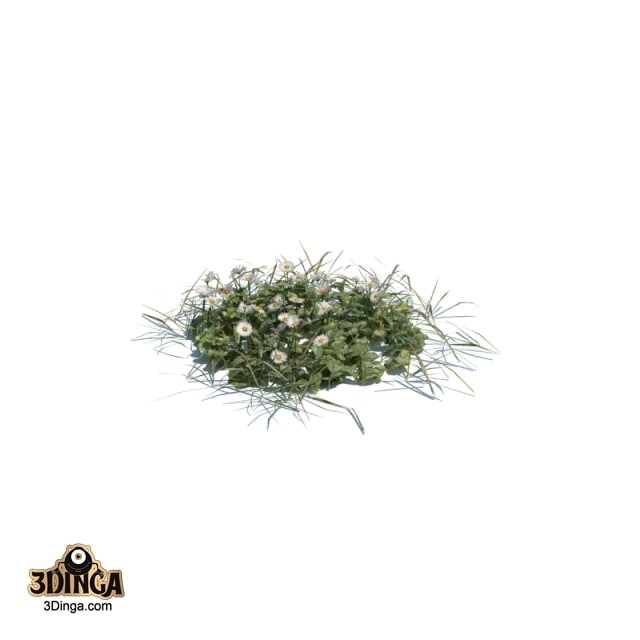 چمن متوسط
