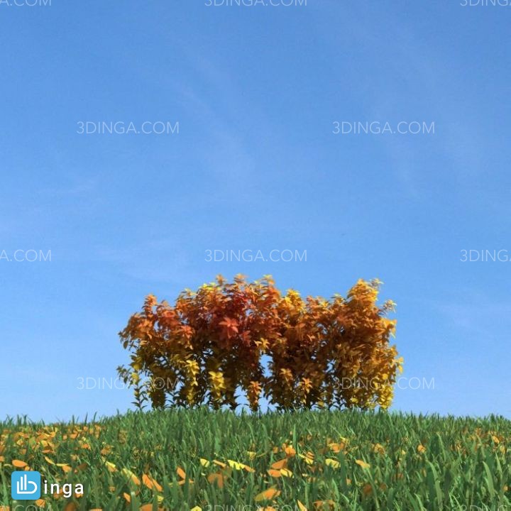 درخت در فصل پاییز