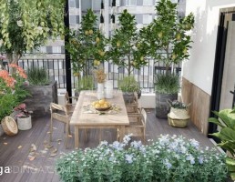 صحنه ی بیرونی باغ برای اسکچاپ