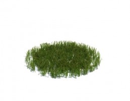 چمن متوسط