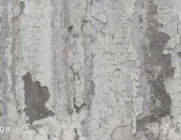 تکسچر گچ